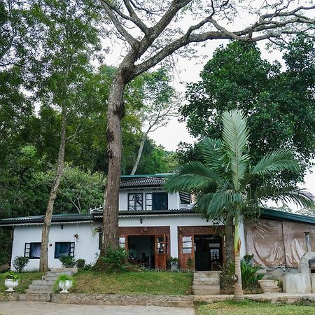 Welikande Yoga Retreats Hotel Digana Exterior photo