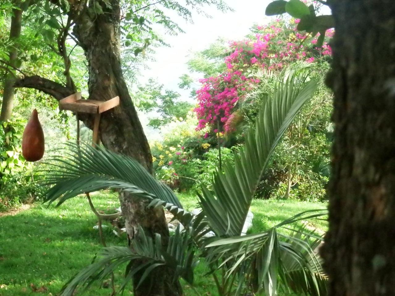 Welikande Yoga Retreats Hotel Digana Exterior photo